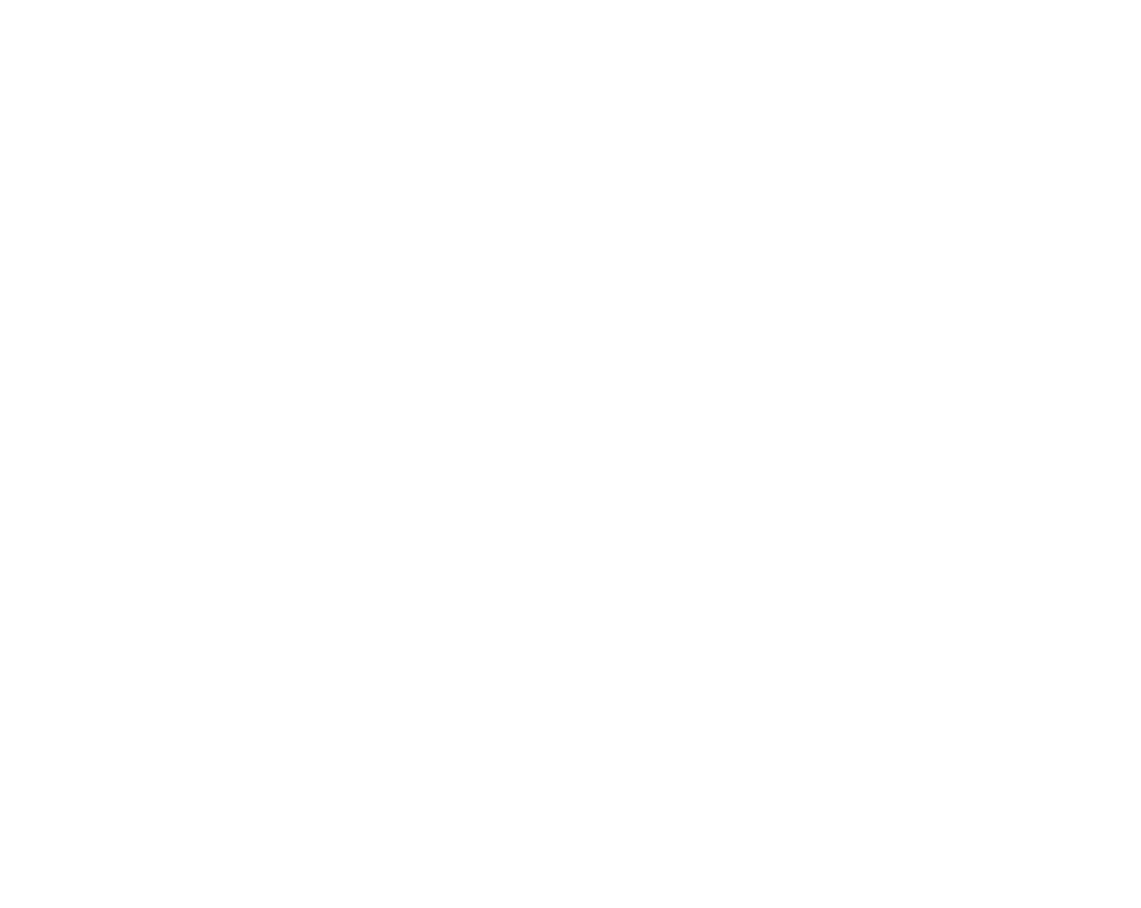 The Outliers